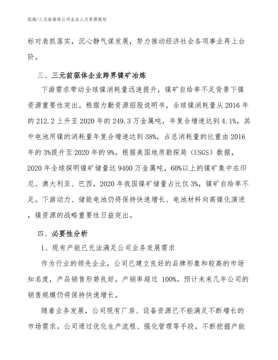 三元前驱体公司企业人力资源规划（参考）_第5页