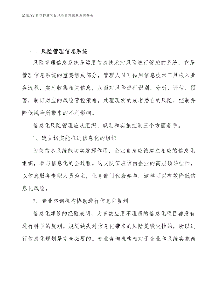 VM真空镀膜项目风险管理信息系统（参考）_第2页