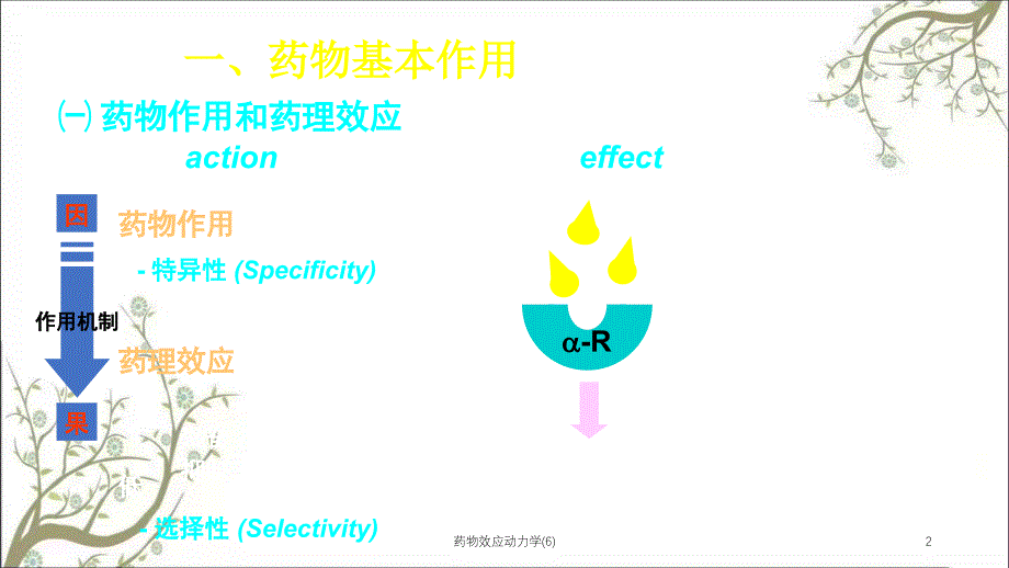 药物效应动力学6课件_第2页