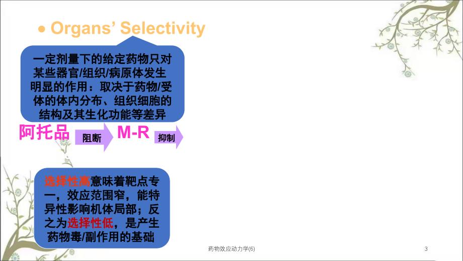 药物效应动力学6课件_第3页