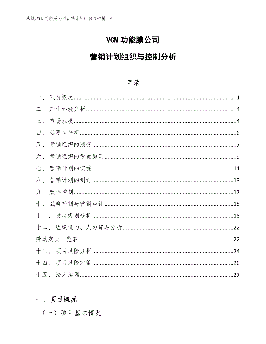 VCM功能膜公司营销计划组织与控制分析【参考】_第1页