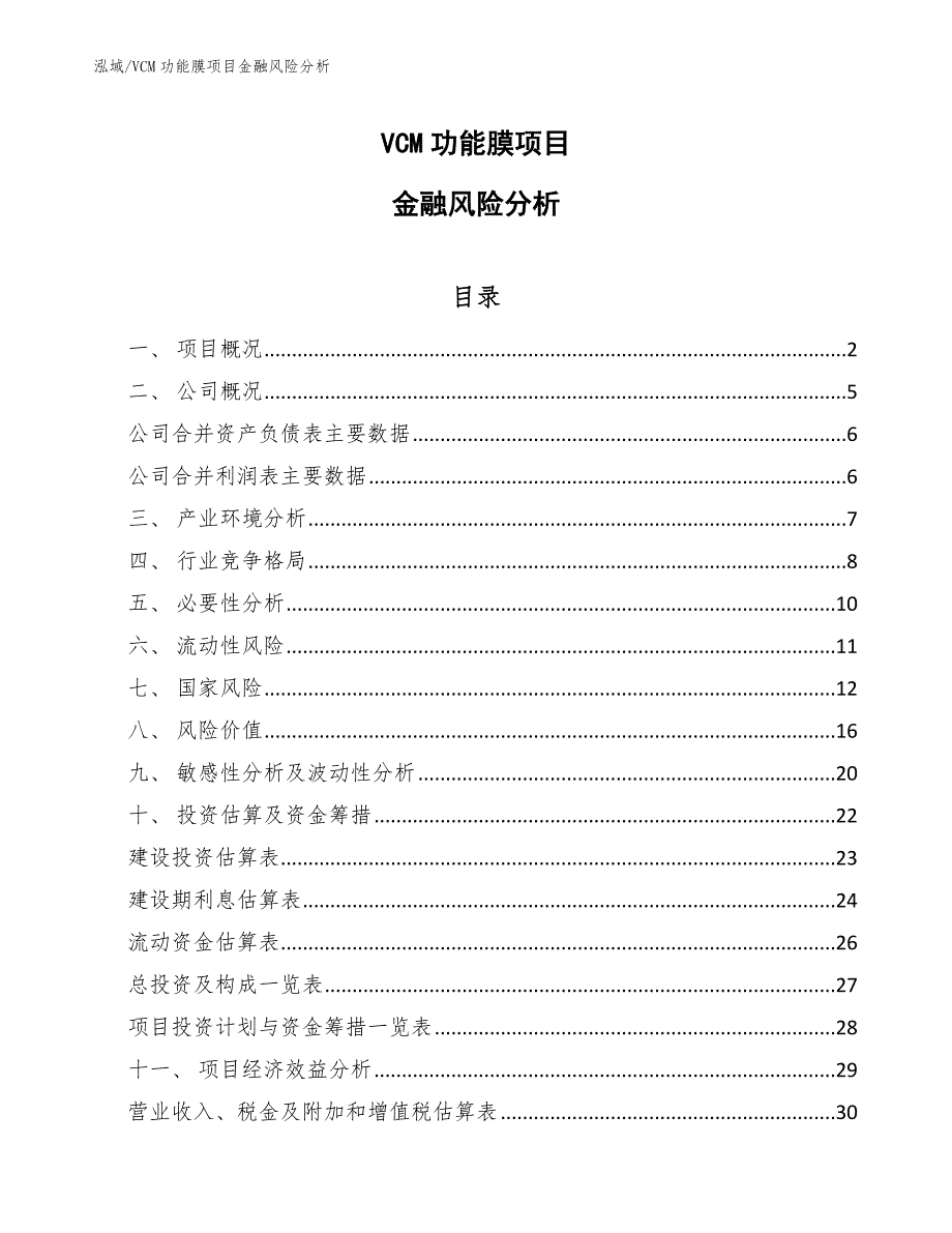 VCM功能膜项目金融风险分析（范文）_第1页