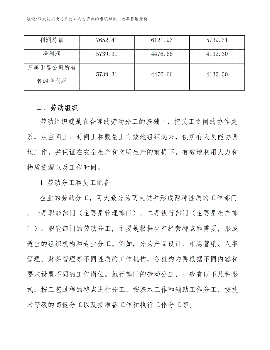 以太网交换芯片公司人力资源的组织与使用效率管理分析_第3页