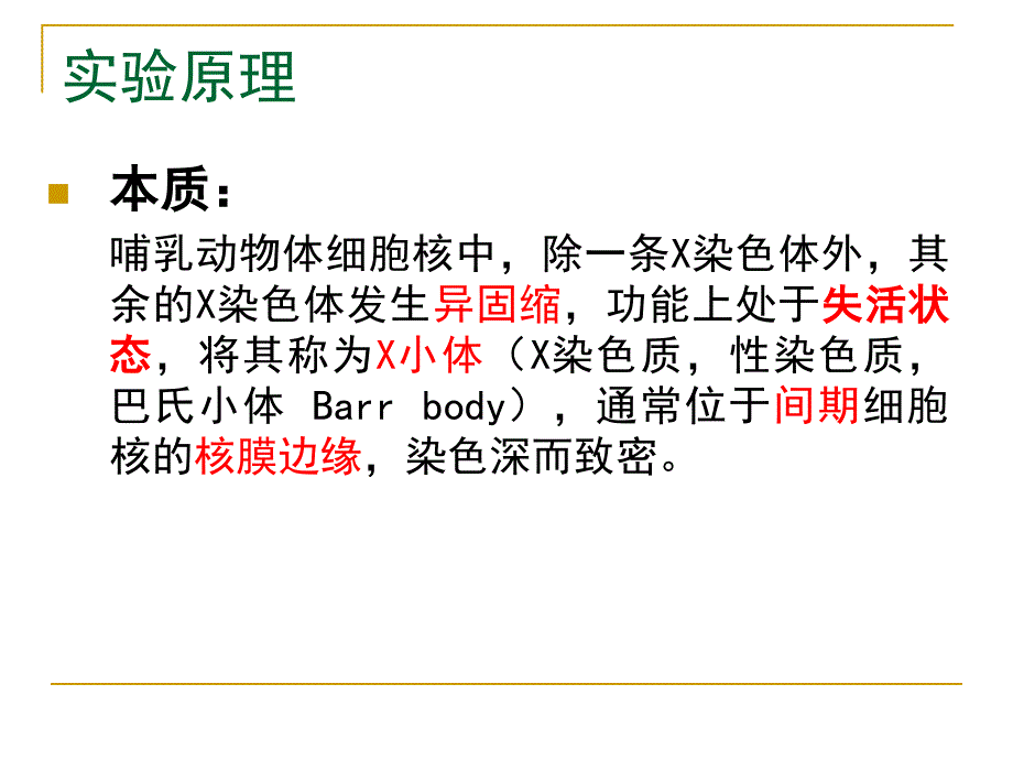 《x小体的制备》PPT课件.ppt_第4页