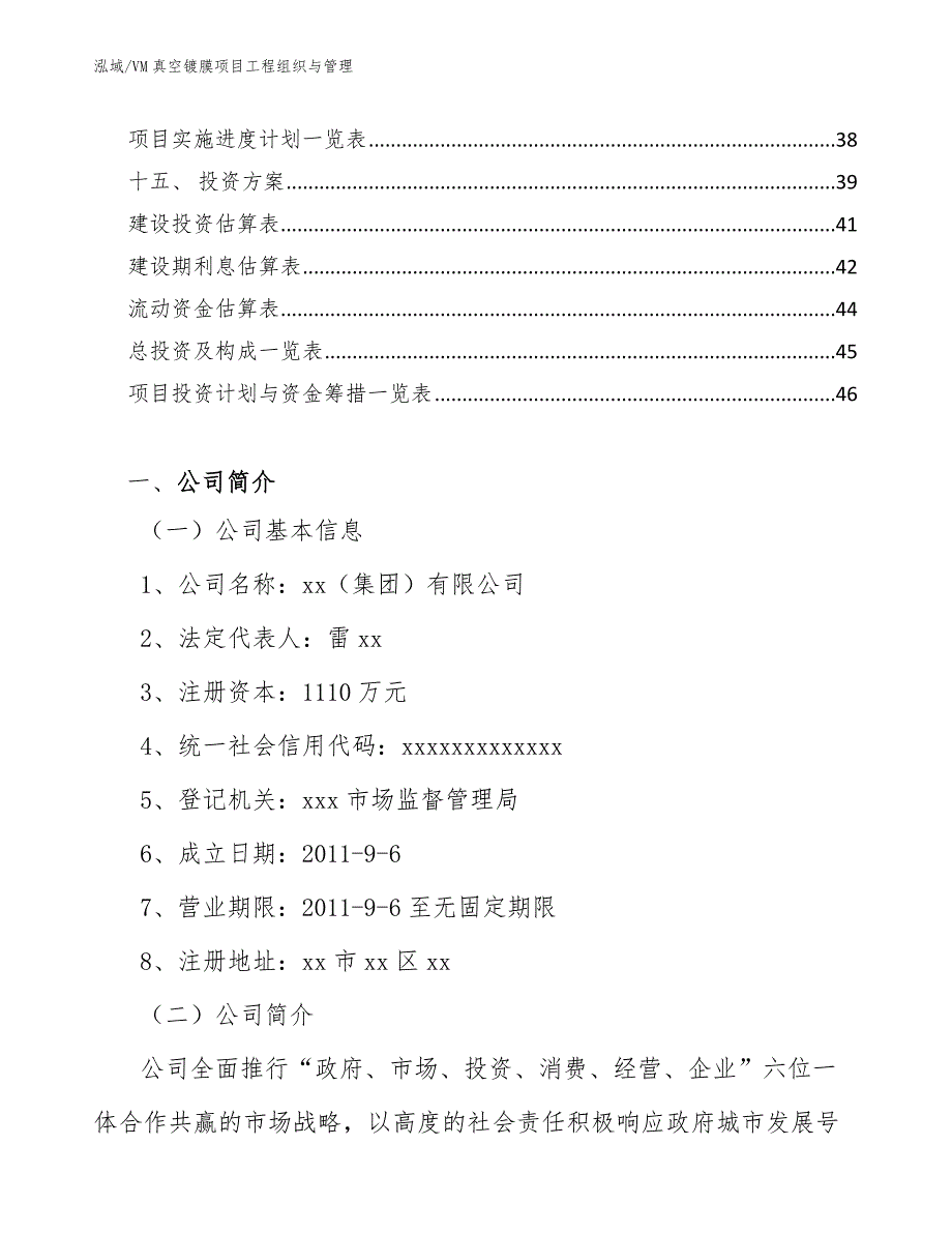 VM真空镀膜项目工程组织与管理_第2页