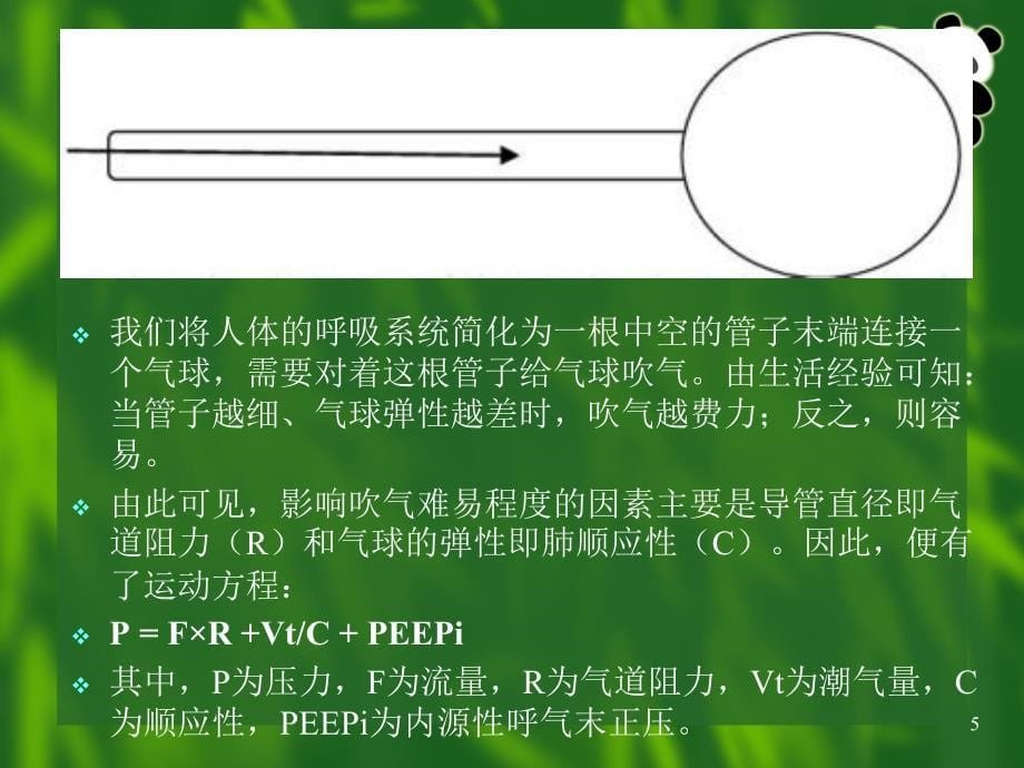 呼吸机使用课件_第5页