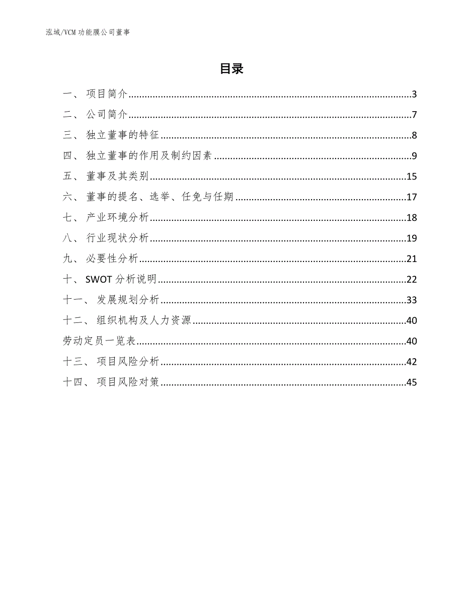 VCM功能膜公司董事【参考】_第2页