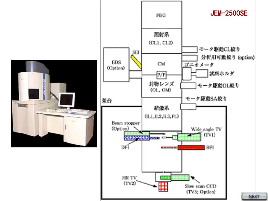 现代分析测试技术TEppt课件_第3页