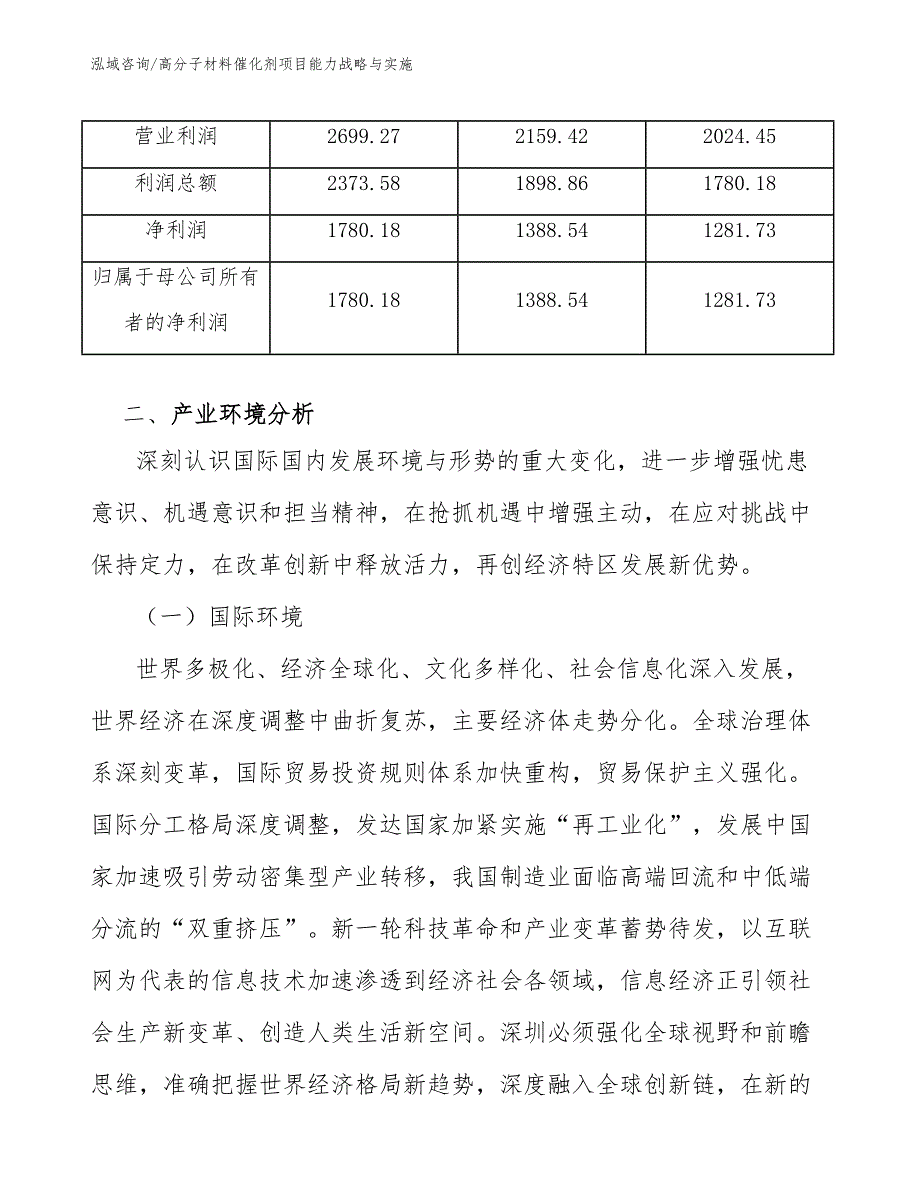 高分子材料催化剂项目能力战略与实施_第4页