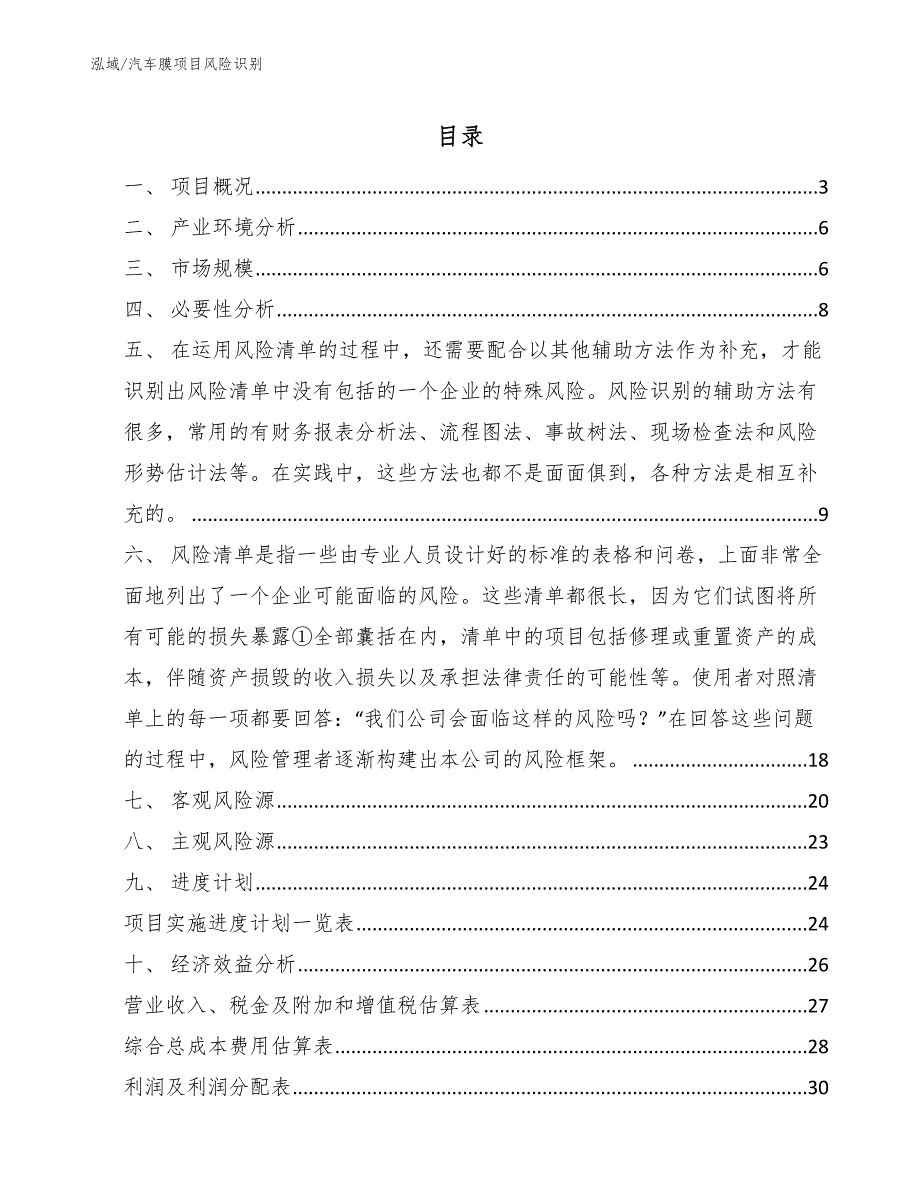 汽车膜项目风险识别【范文】_第2页