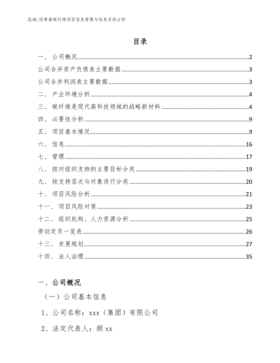 沥青基碳纤维项目信息管理与信息系统分析_第2页