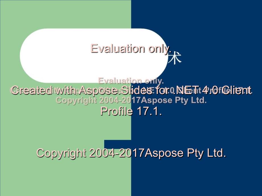 《网络安全技术》PPT课件_第1页