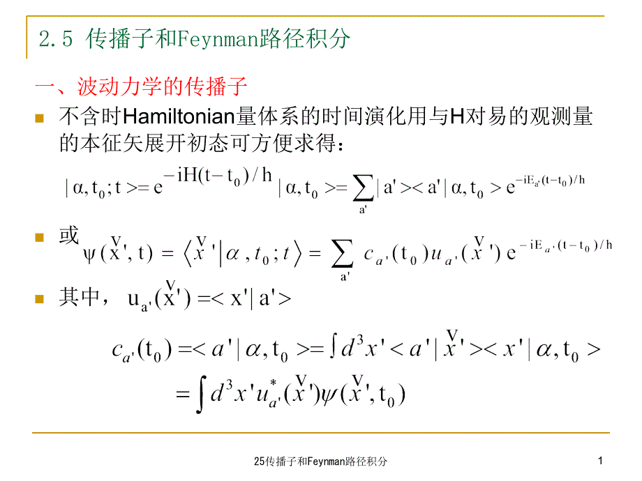 传播子和Feynman路径积分课件_第1页