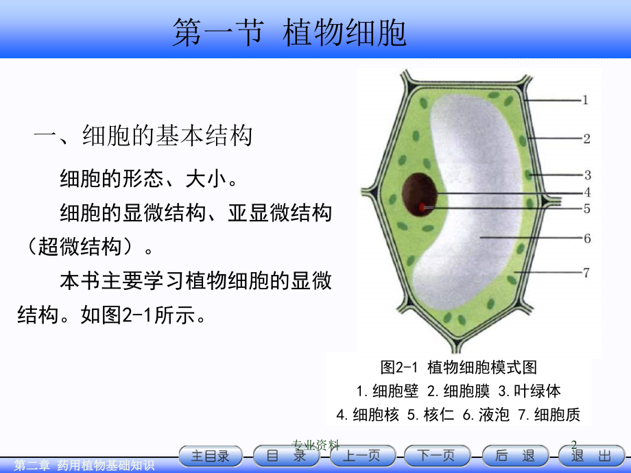 天然药物学基础知识优质材料_第2页