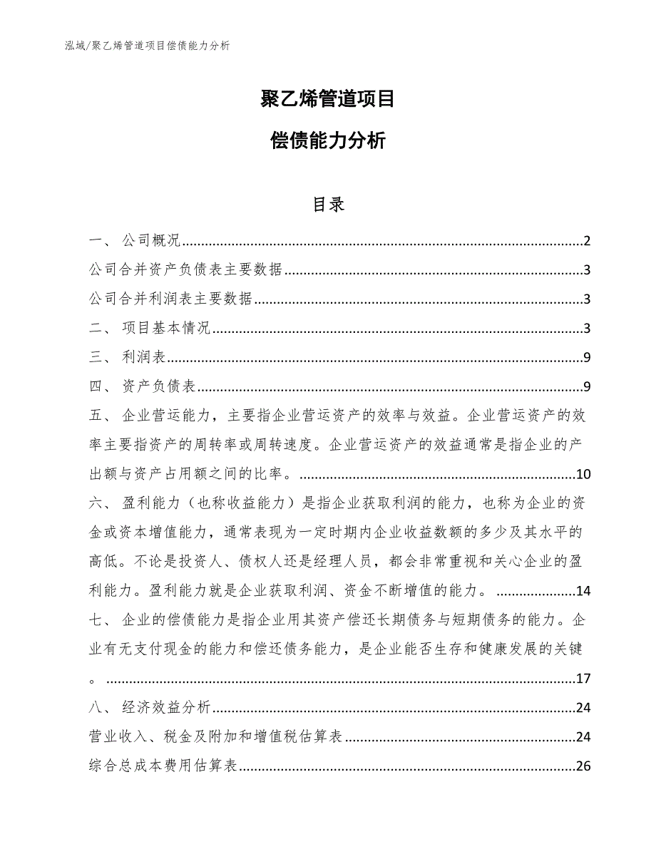 聚乙烯管道项目偿债能力分析【范文】_第1页