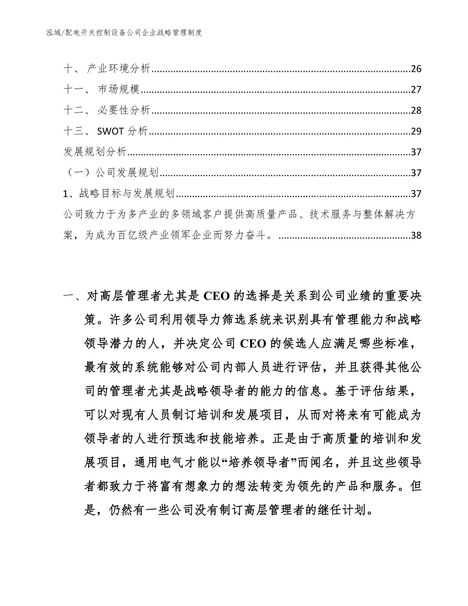 配电开关控制设备公司企业战略管理制度_第2页