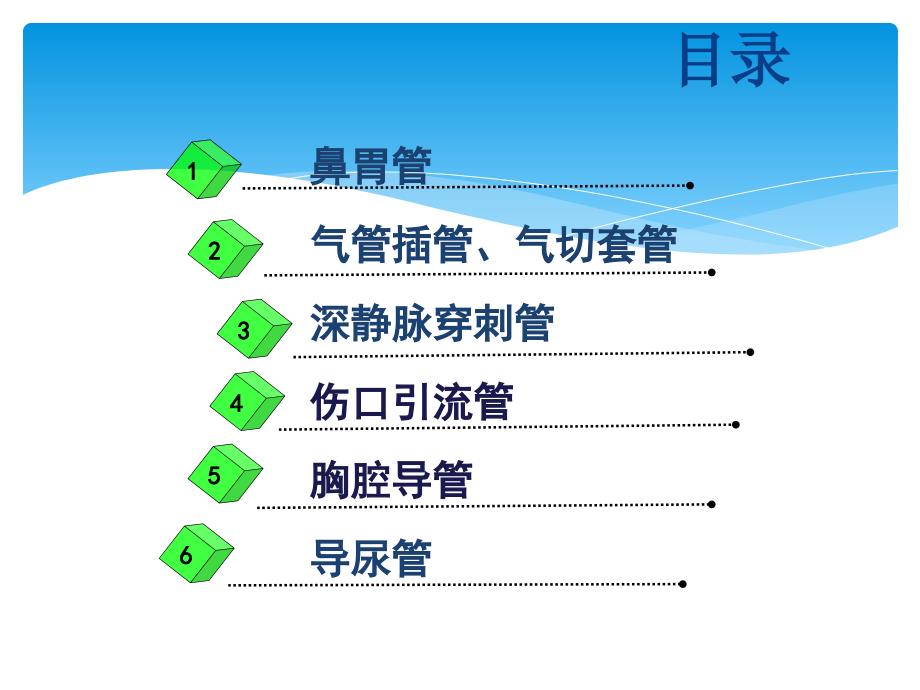 各类导管的护理.ppt_第2页