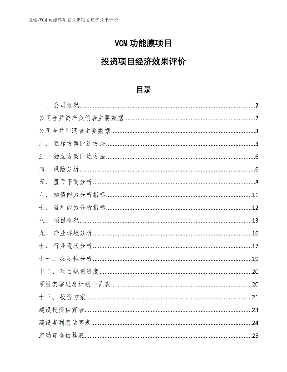 VCM功能膜项目投资项目经济效果评价_范文_第1页