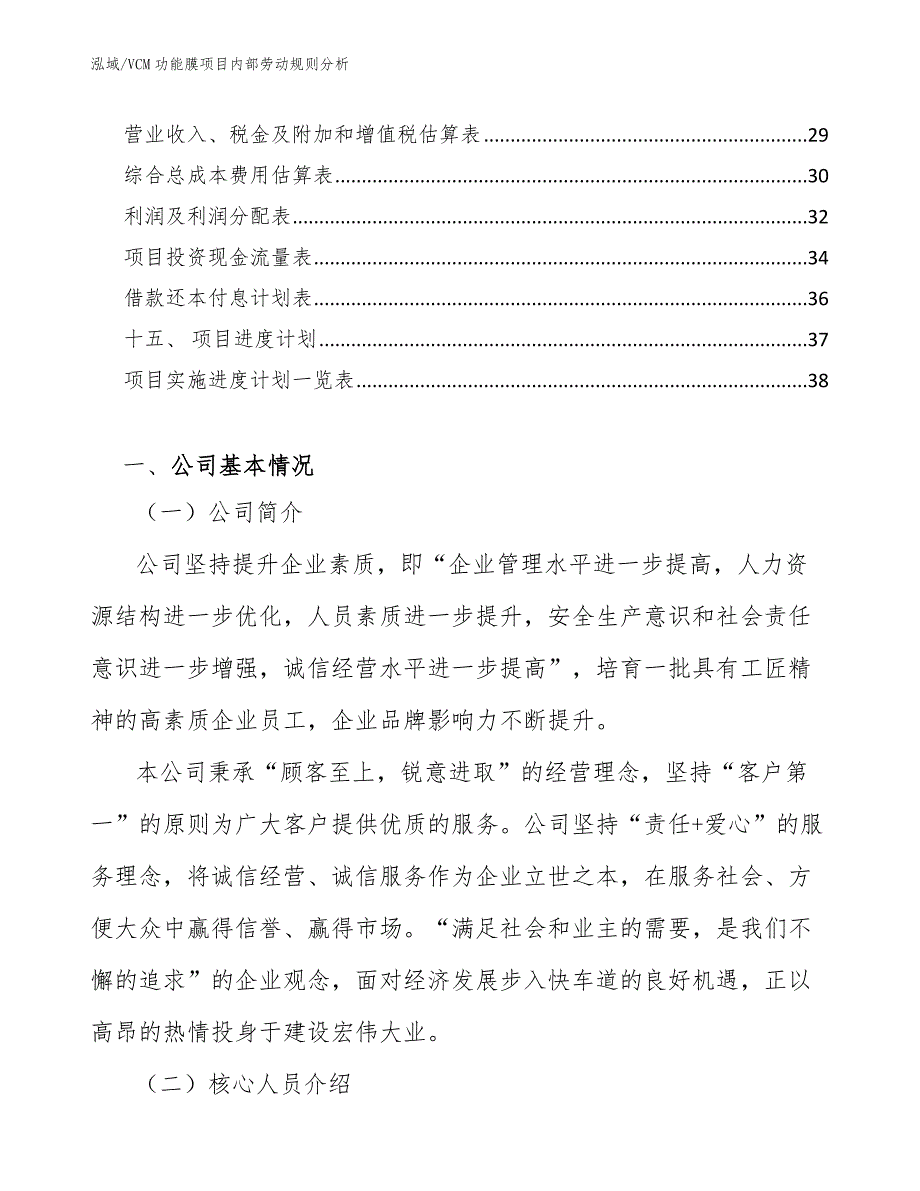 VCM功能膜项目内部劳动规则分析_第2页