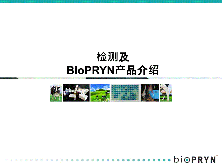 牛孕检测介绍BioPRYN_第1页