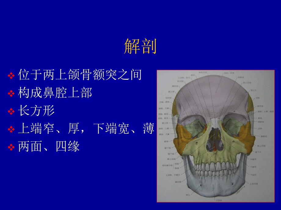 鼻骨骨折的影像诊断_第2页