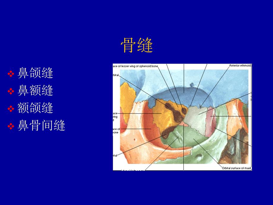 鼻骨骨折的影像诊断_第4页