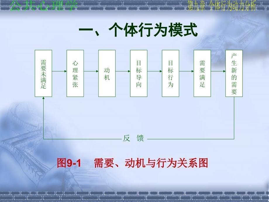 个体行为动力分析pp.ppt_第5页