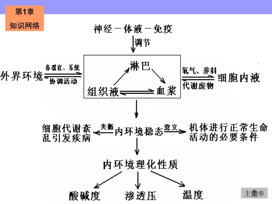 疫系统与免疫功能_第2页