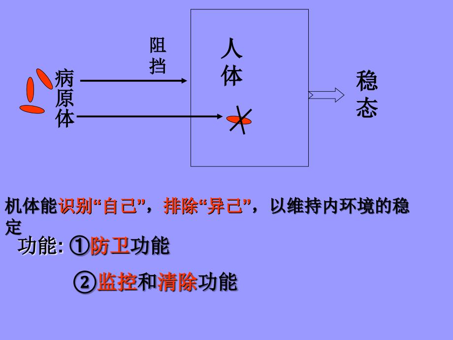 疫系统与免疫功能_第4页