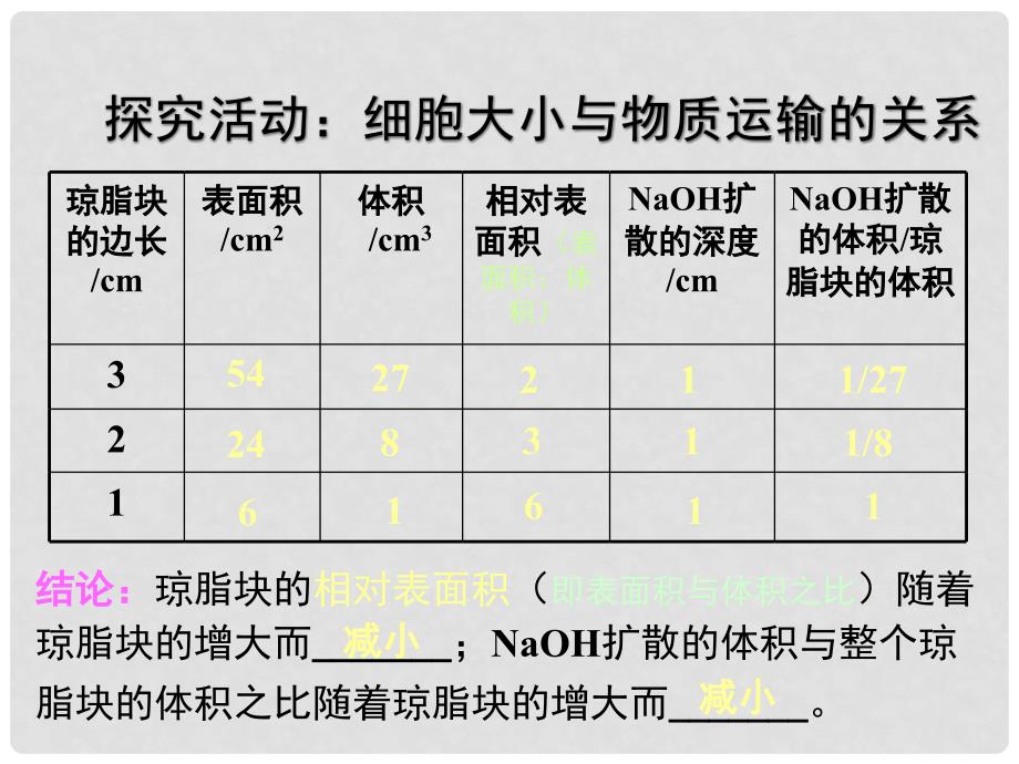 高中生物： 411 细胞的增殖（课件）中图版必修1_第2页