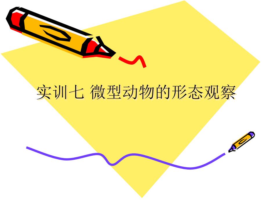 环境微生物课件(实训部分)—-微型动物的形态观察_第1页