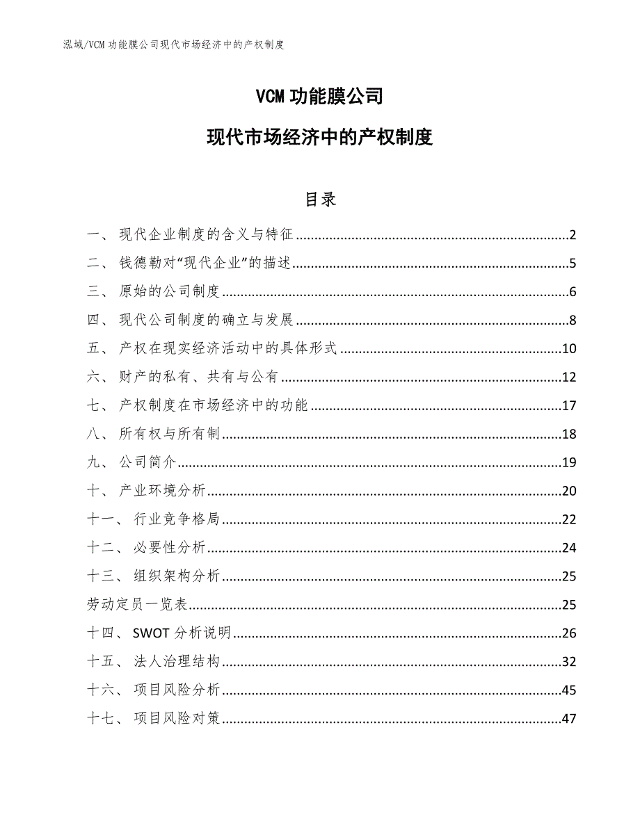 VCM功能膜公司现代市场经济中的产权制度_参考_第1页