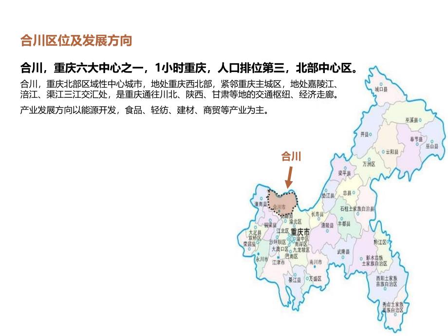 2010合川商业地产市场调查报告.ppt_第4页