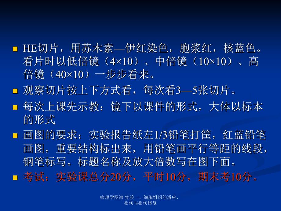 病理学图谱实验一细胞组织的适应损伤与损伤修复_第2页