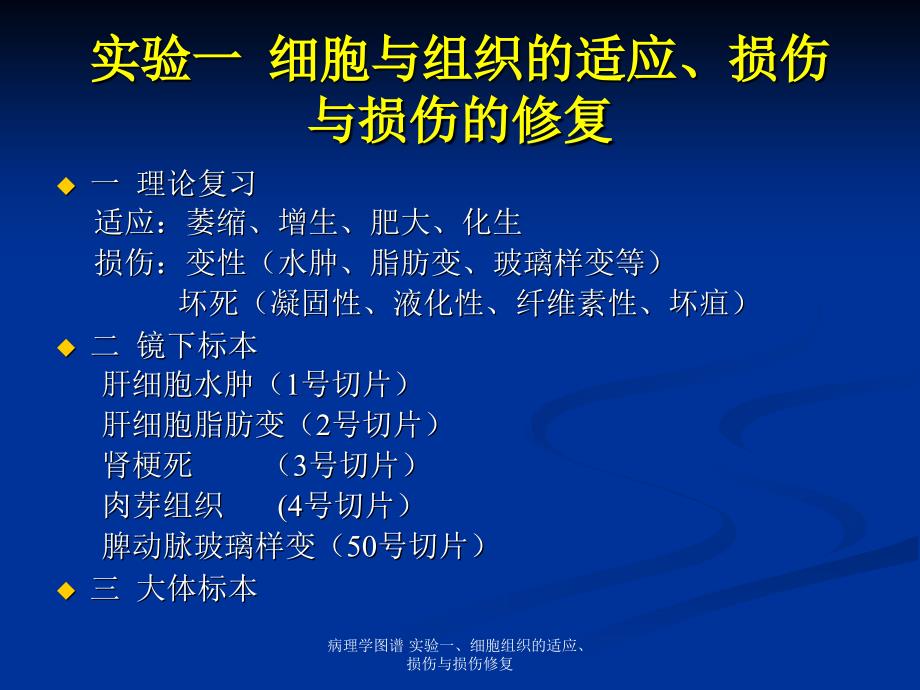 病理学图谱实验一细胞组织的适应损伤与损伤修复_第3页