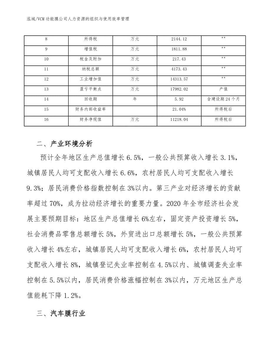 VCM功能膜公司人力资源的组织与使用效率管理_第5页