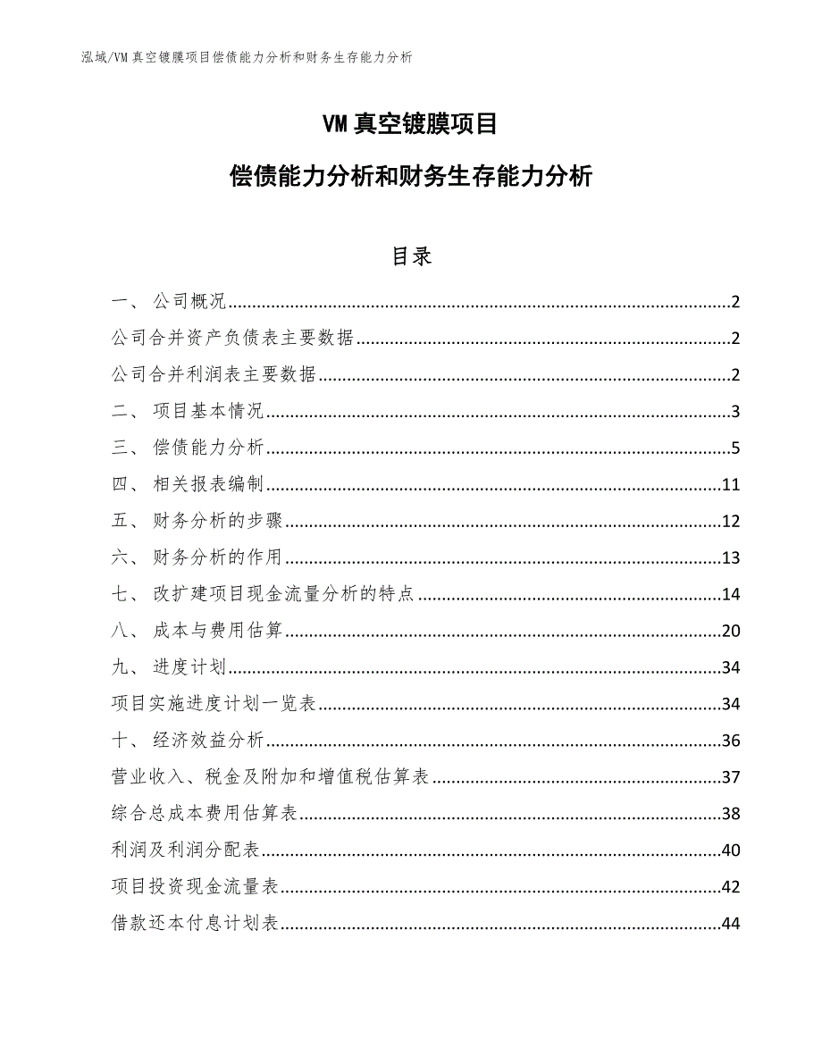 VM真空镀膜项目偿债能力分析和财务生存能力分析_第1页