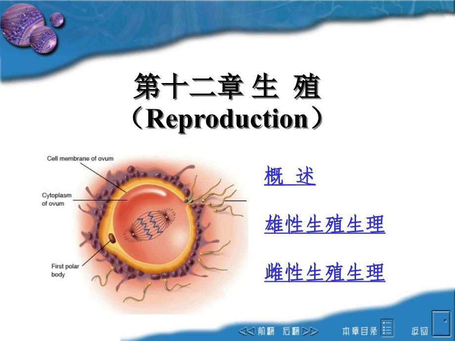 动物生理学课件：12reproduction_第1页