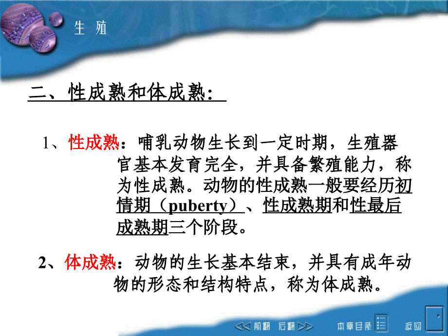 动物生理学课件：12reproduction_第3页