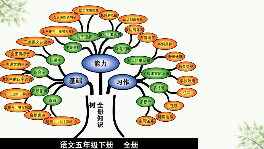 知识树模板课件_第1页