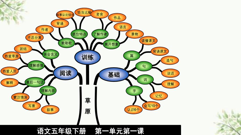 知识树模板课件_第3页