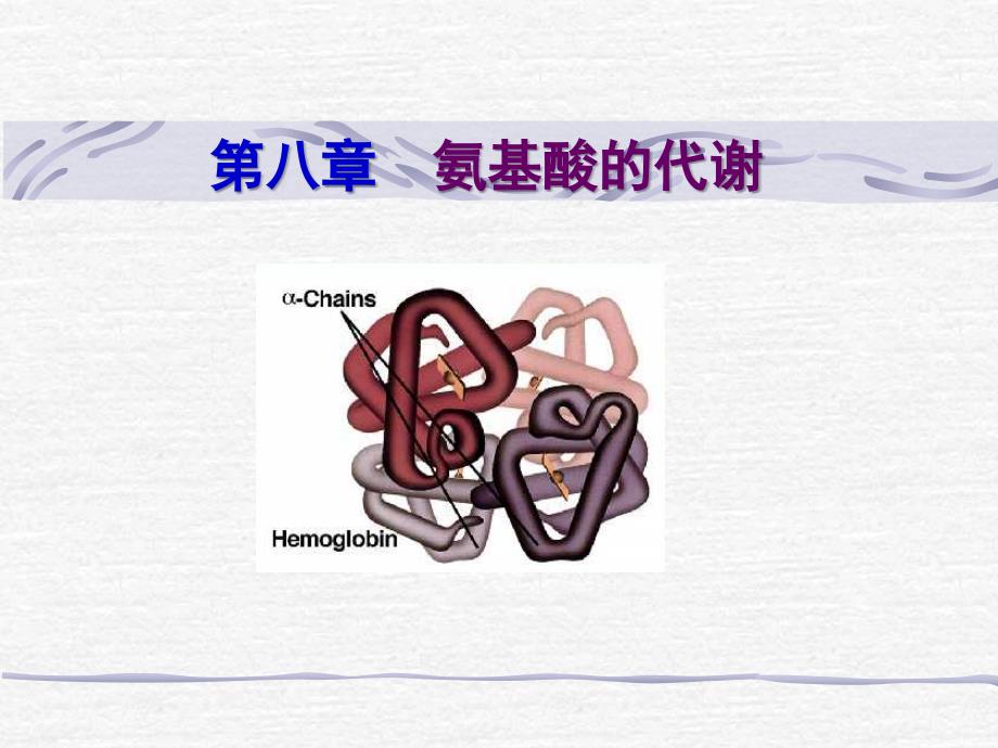 第八章含氮化合物代谢_第1页