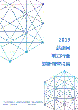 2019年电力行业薪酬调查报告.pdf