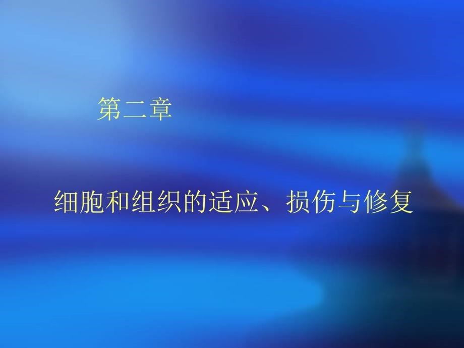 病理学组损伤与修复_第5页