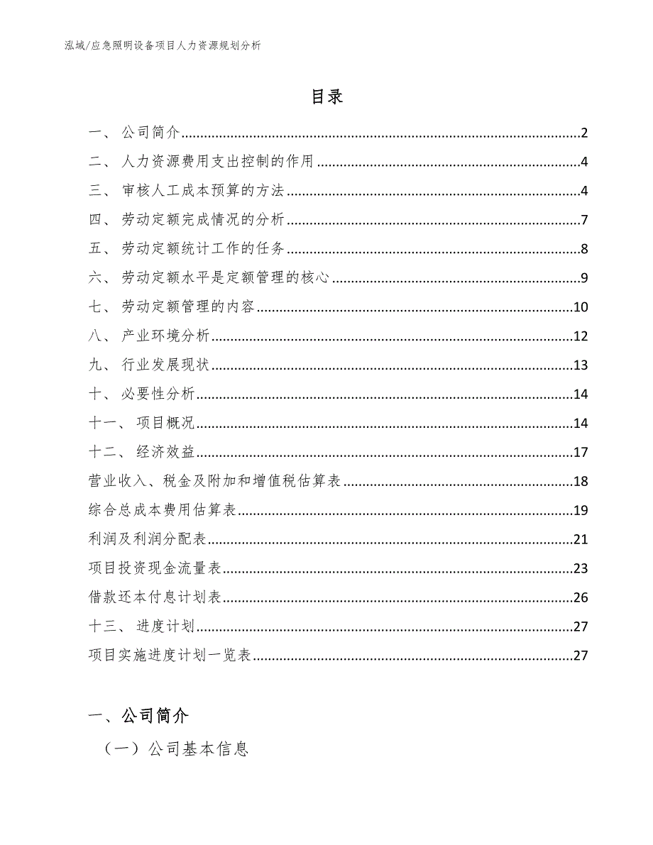 应急照明设备项目人力资源规划分析_第2页