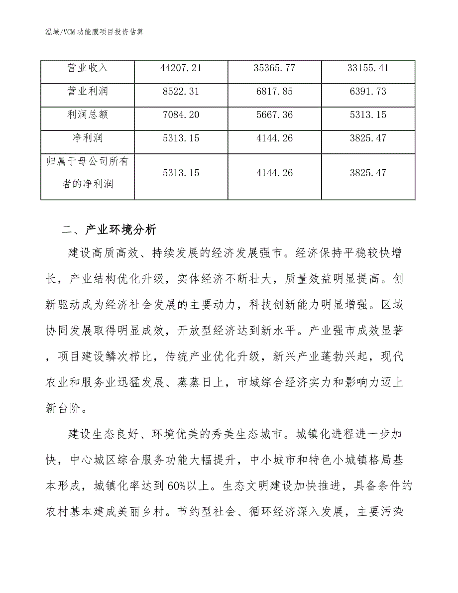 VCM功能膜项目投资估算（参考）_第4页