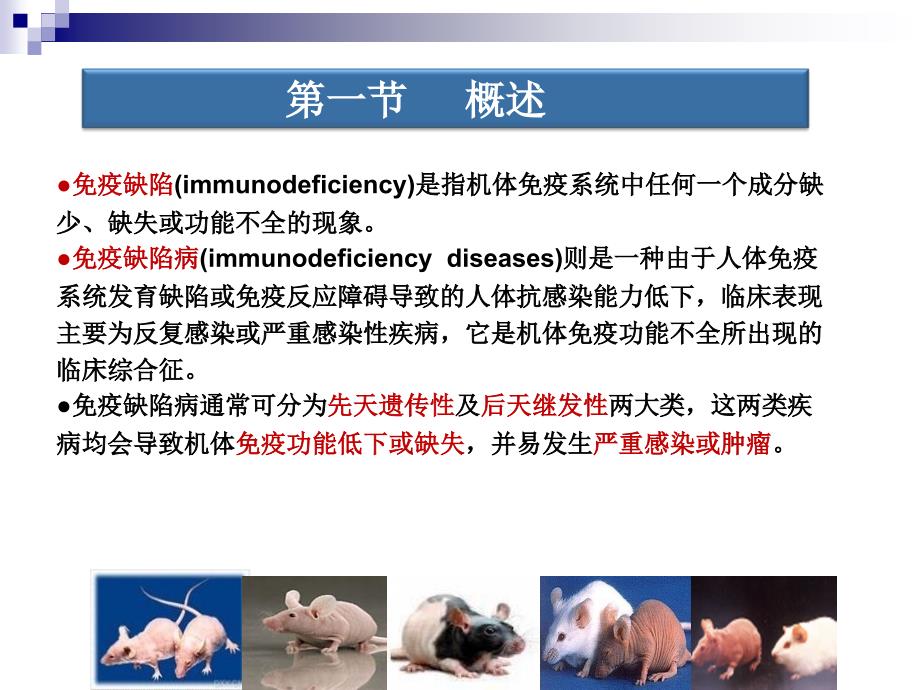 免疫缺陷动物模型_第2页