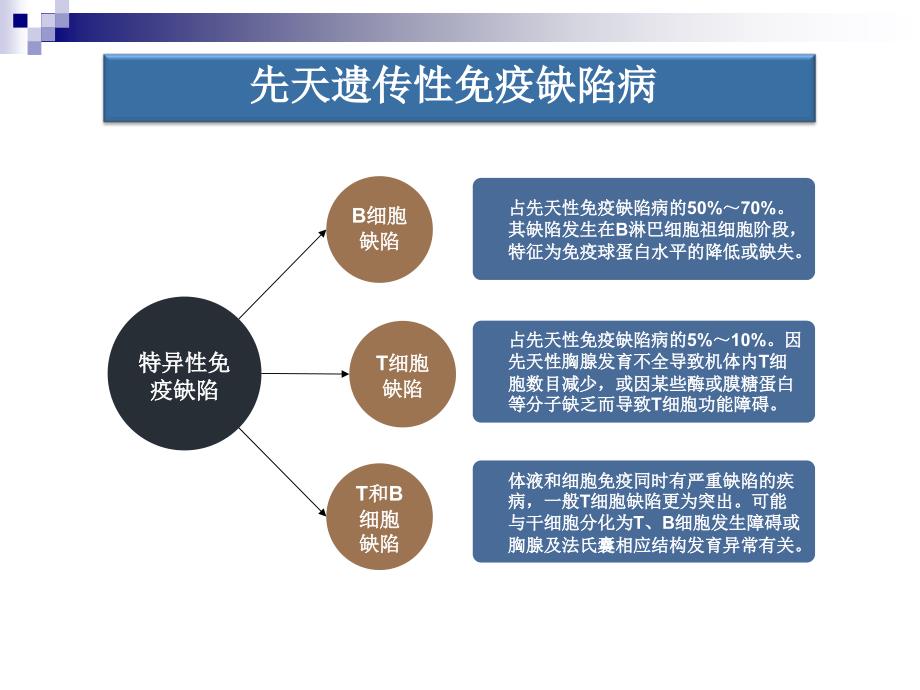 免疫缺陷动物模型_第3页