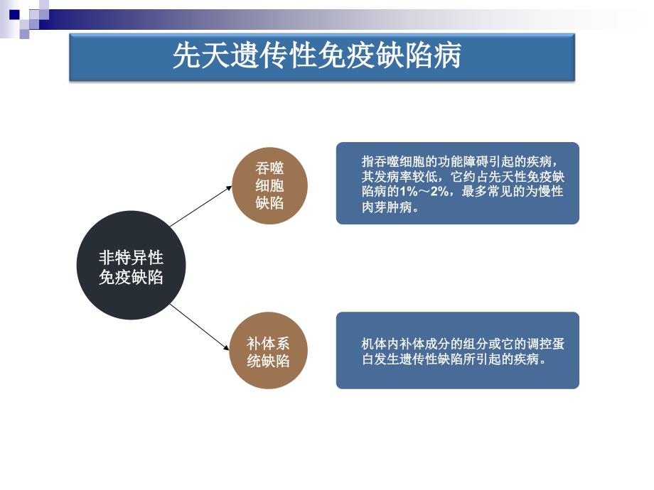 免疫缺陷动物模型_第4页