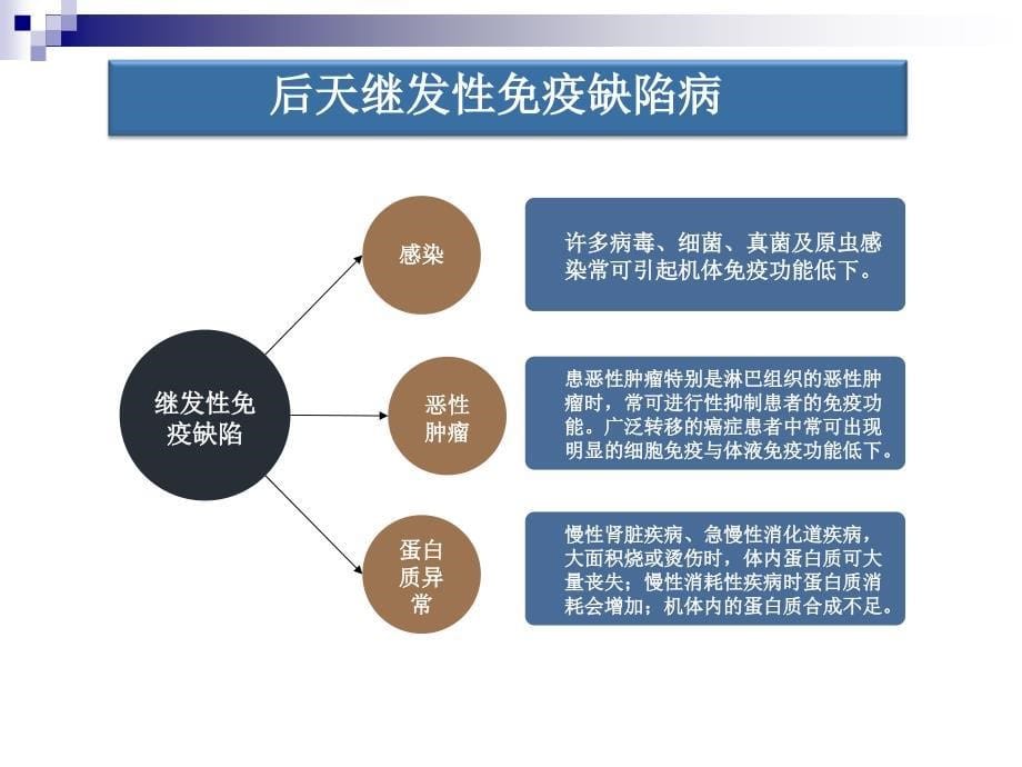 免疫缺陷动物模型_第5页